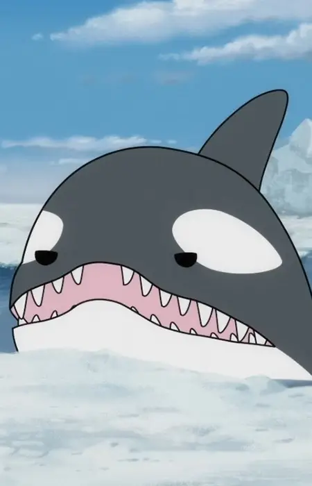 Killer Whale A Image