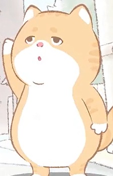 Orange Cat