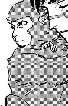 Monkichi