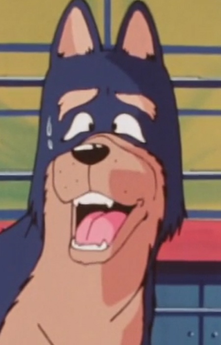 Tin TIn Rin