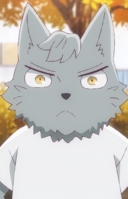 Wolf Beastman Boy