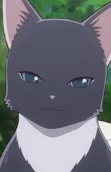 Gekkon