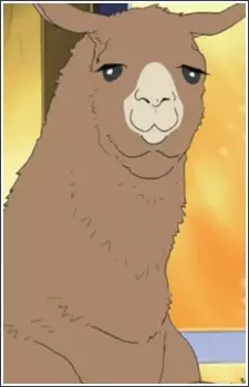 Llama image