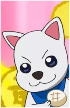 Dog Image