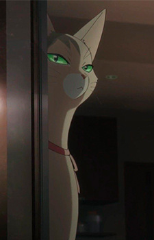 Kinako