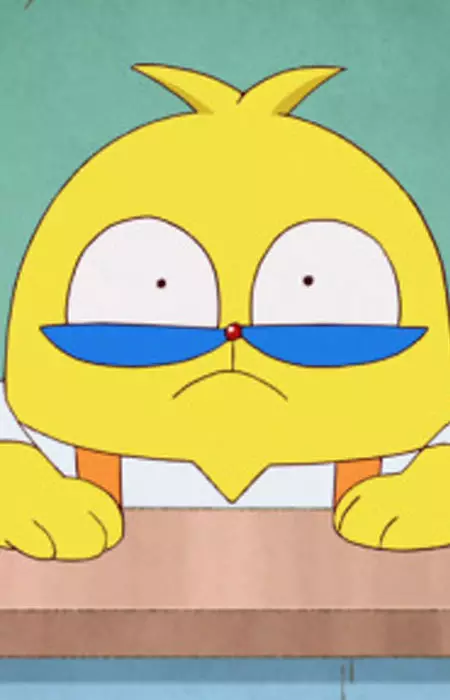 Pascal-sensei