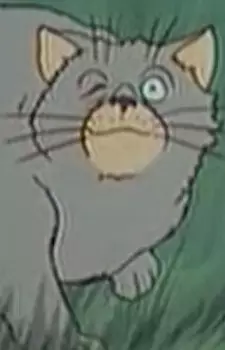 Cat (Bremen)
