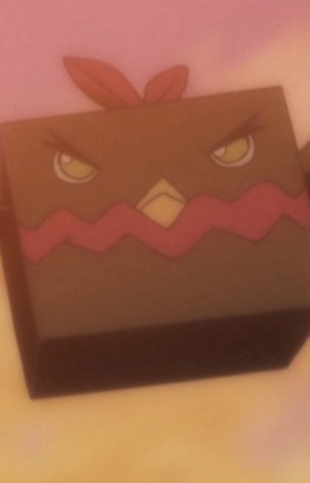 Owl Square