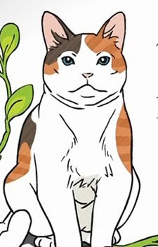 Imagem de Nekomama