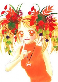 Koizumi, Ponta