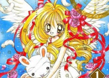 Imagen de Shiina, Amane