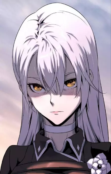 Irimel, Dakia