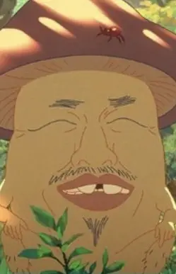 Old Man Mushroom Image