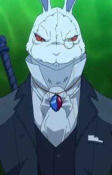 White Rabbit