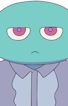 Mucchi