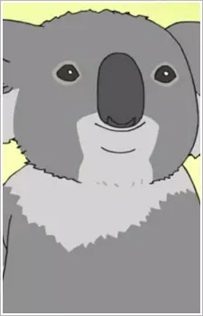 Koala image