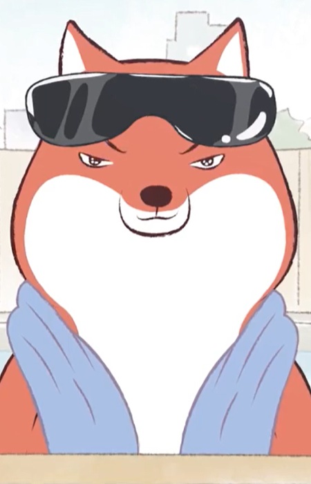 Tibetan Fox