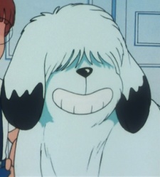 Imagem de Adam