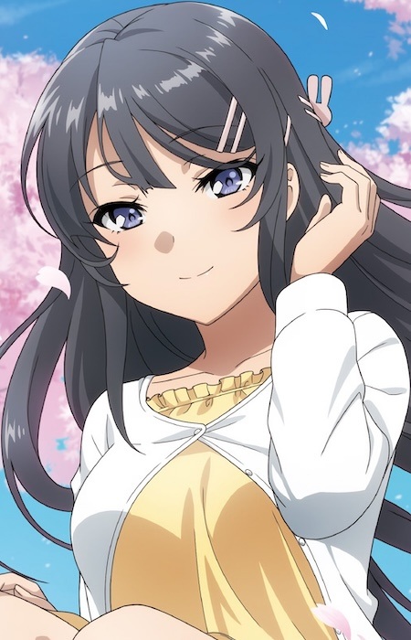 Mai Sakurajima photo 20
