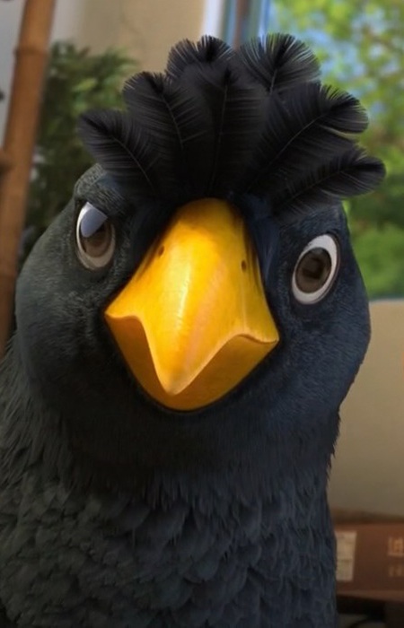 Imagem de Birdee