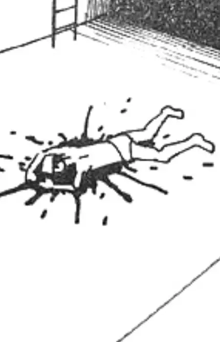 Diver
