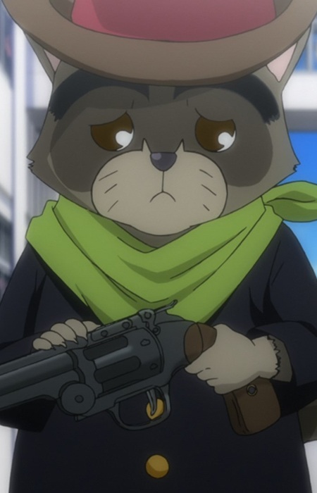 Raccoon Megalo