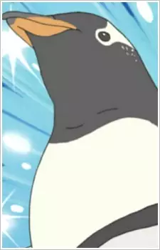 Gentoo Penguin image