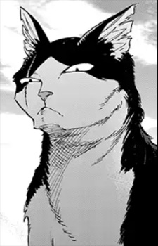 capa de mangá de Buchi