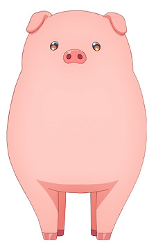 Pig