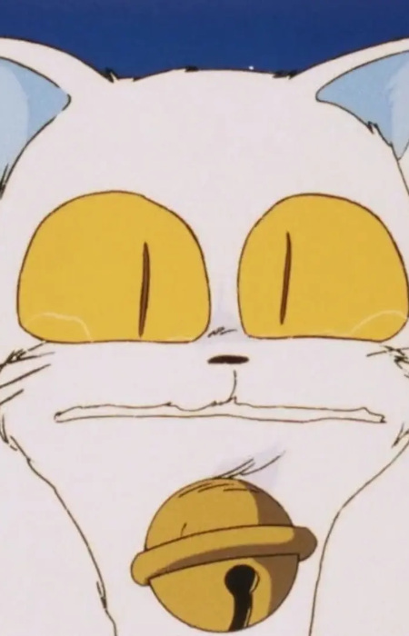 Imagem de Maomolin