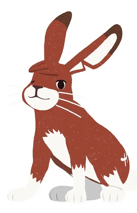 Usagizaki-senpai Image