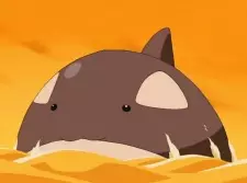 Sashimi Image