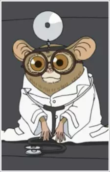 Tarsier image