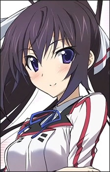 Are there any anime characters that look like houki from infinite stratos?  - 9GAG