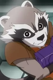 Raccoon, Rocket