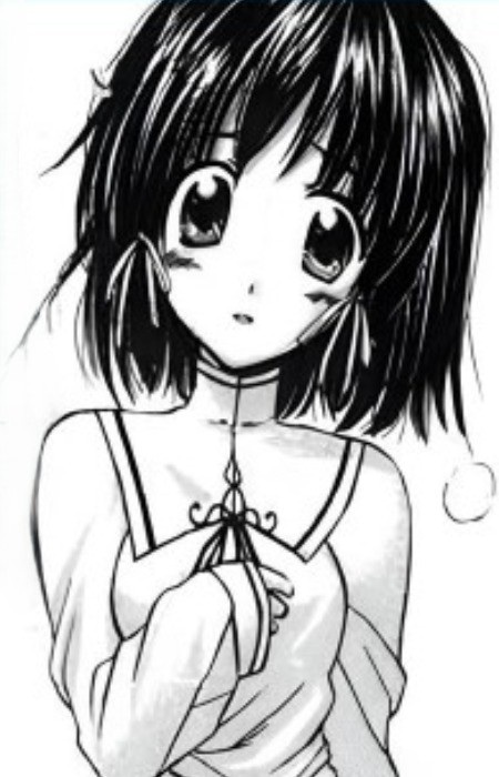 Kogiku