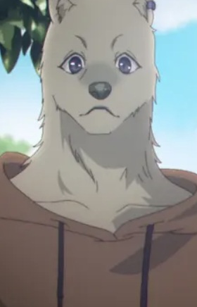 Beastfolk Dog