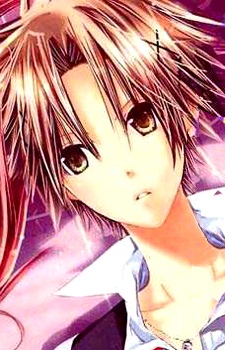 Mikami, Teru