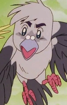 Imagem de Pigeon Fairy
