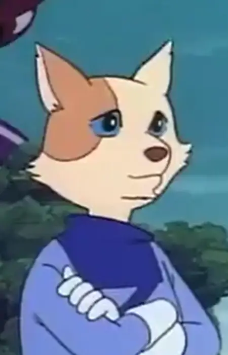 Cat Image