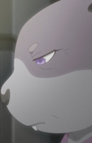 Sakura's Mother