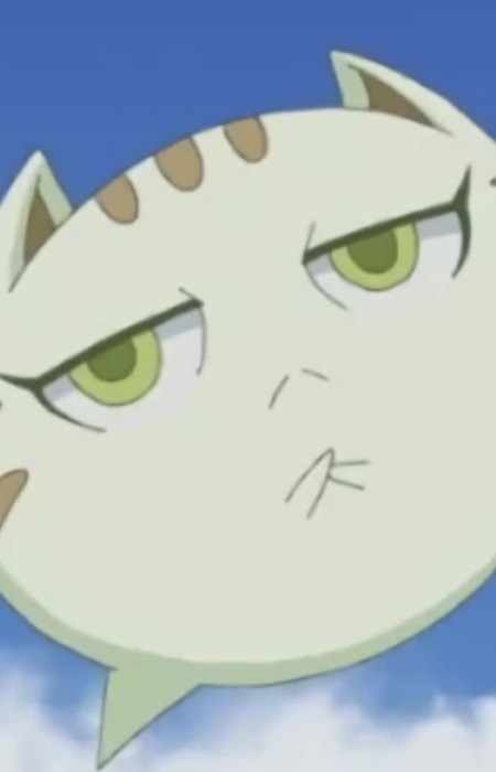 Shin