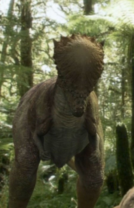 Pachycephalosaurus