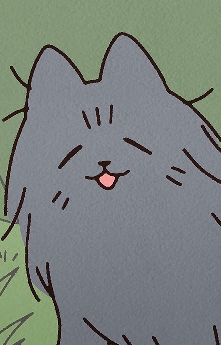 Cat of Poverty