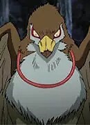 Shun Image
