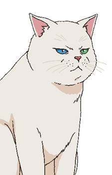 Imagem de Pepe-chan