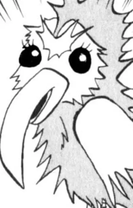 Hajike Bird