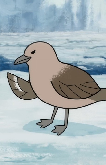 Imagem de Polar Skua South