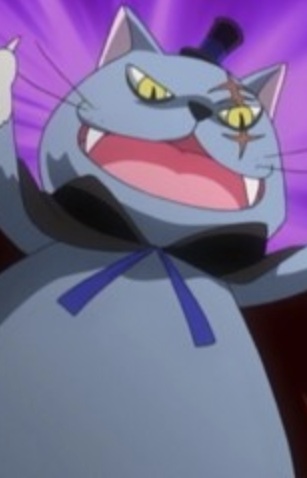 Robber Cat