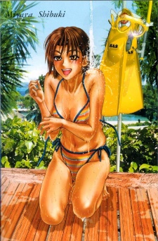 Miyara, Shibuki
